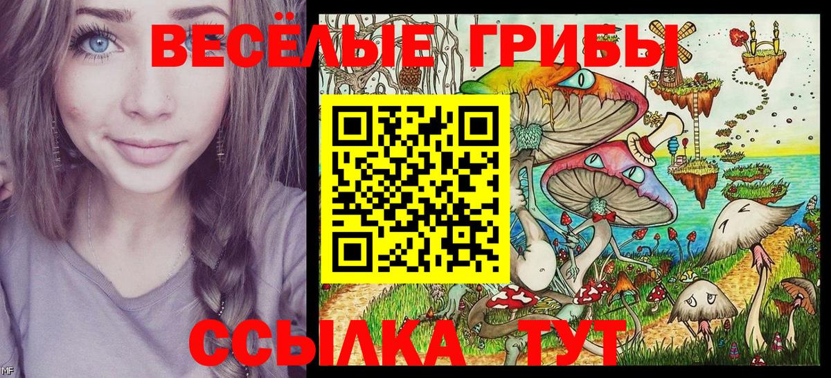 Псилоцибиновые грибы ЛСД Ливны